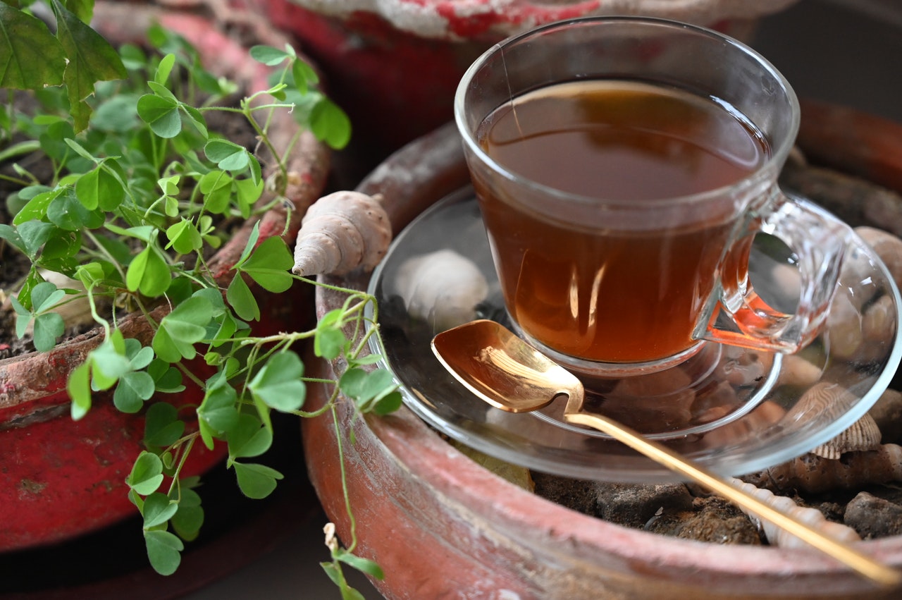 Minuman Herbal Pelangsing Perut