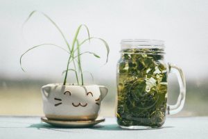 Minuman Herbal Pelangsing